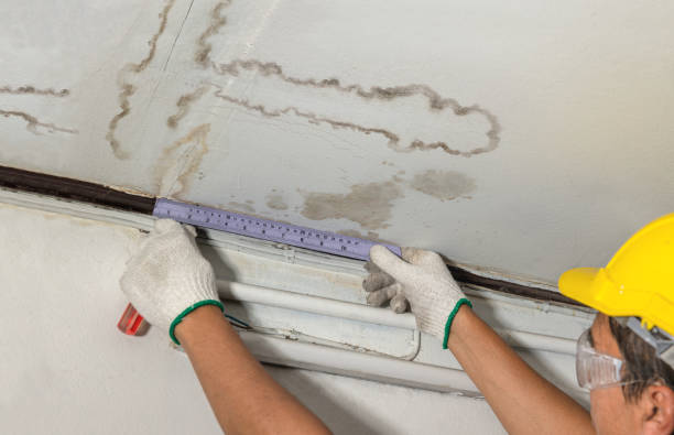Affordable Water Damage Repair solutions in Rockbridge, OH